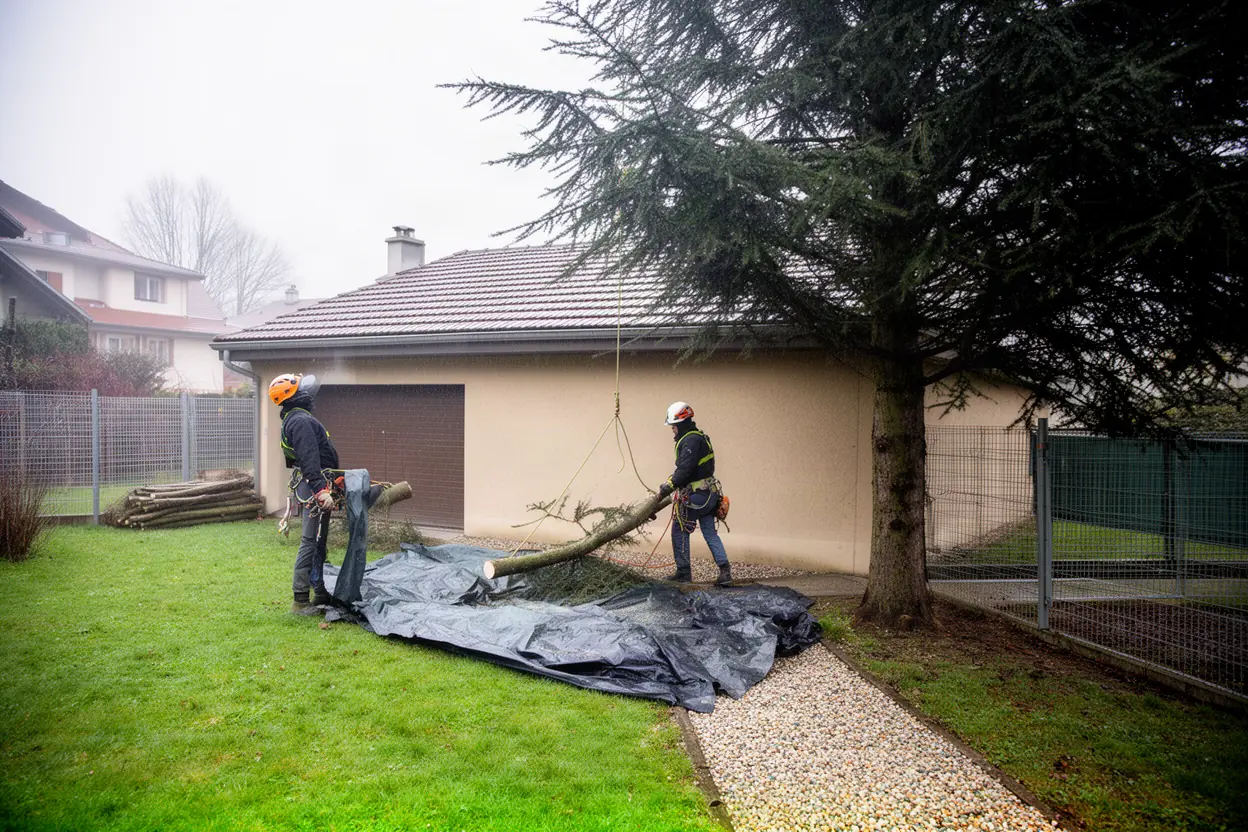 Arboriste démontant un arbre près d’une maison à Meylan