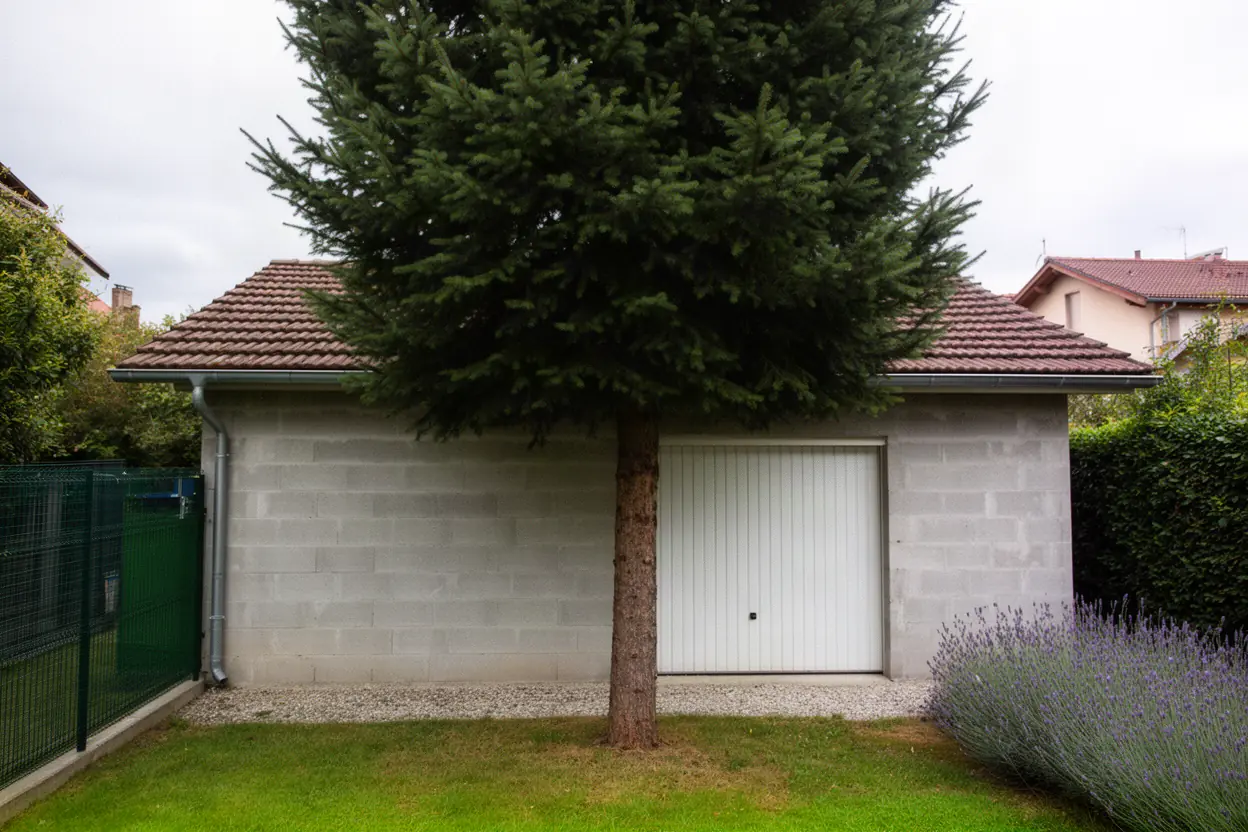 Conifère incliné près d'un garage à Grenoble