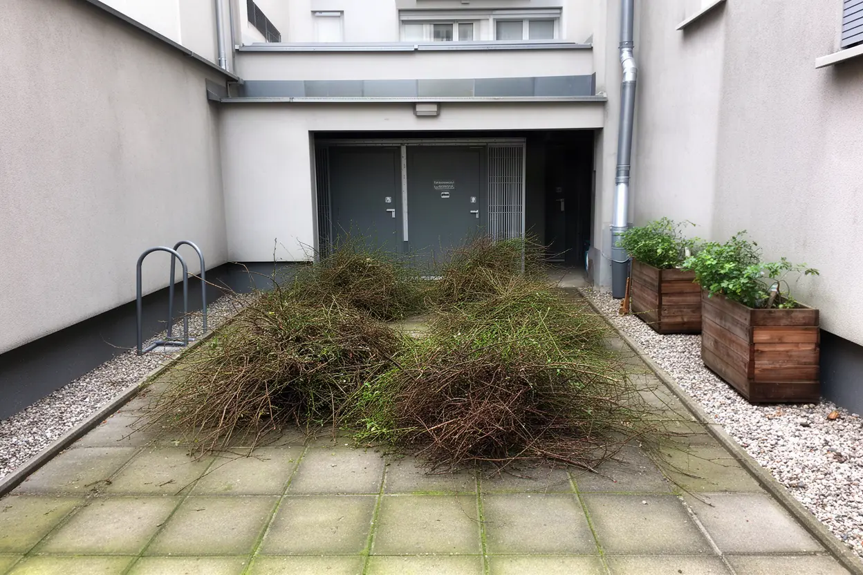 Tas de branches dans une cour à Grenoble